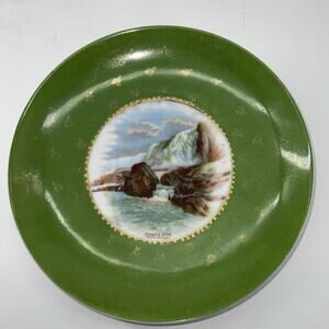 Gorgeous VICTORIA CARLSBAD AUSTRIA Souvenir Plate NIAGARA FALLS